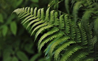 What is sustainable tourism? A friendly guide.